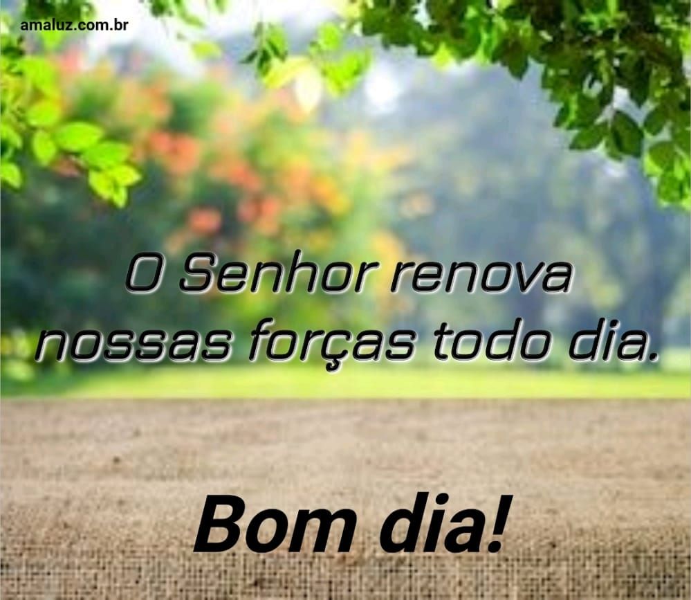 Imagens De Bom Dia Frases De Motiva O E Esperan A