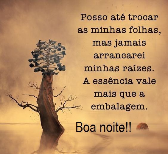 boa noite imagens reflexão