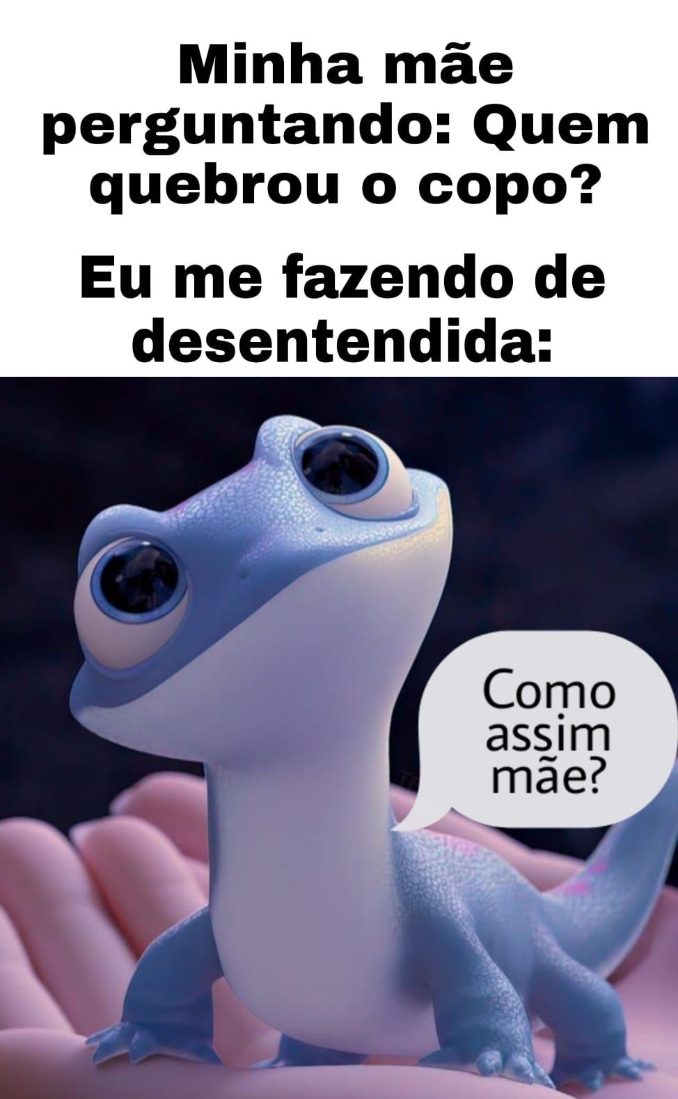 Memes Engra Ados Do Momento Fatos Incr Veis Da Vida