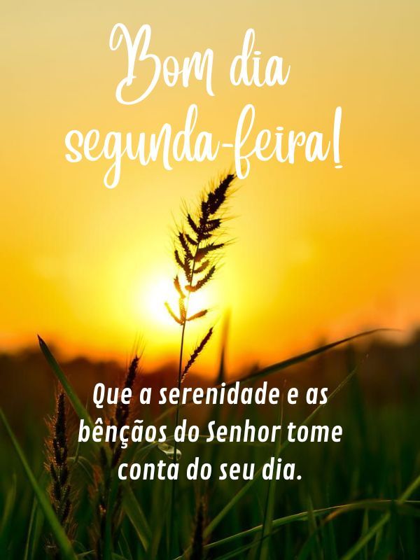 41 Frases de Bom dia Segunda feira Abençoada de Paz e Gratidão