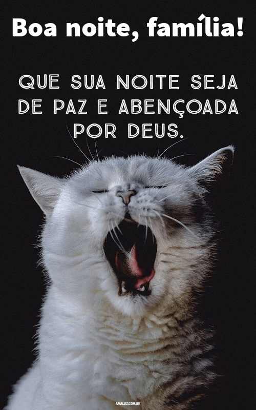 Frases De Boa Noite Fam Lia Aben Oada Imagens Fofas