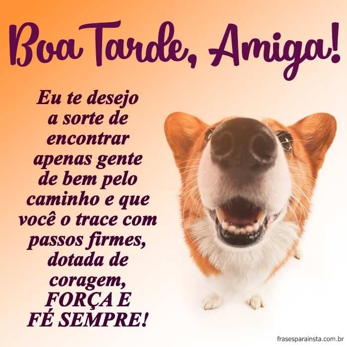 Boa tarde amiga linda que amo muito! Boa tarde