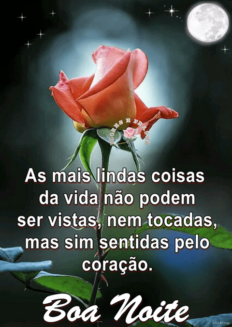 As mais lindas coisas da vida