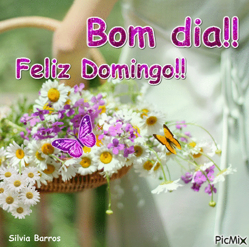 35 Belíssimas Gifs e Mensagens de Bom dia Domingo Alegre e Abençoado 35 Belíssimas Gifs e Mensagens de Bom dia Domingo Alegre e Abençoado
