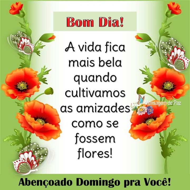 Cultivando as amizades