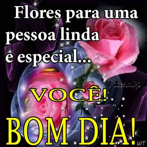 Flores para você
