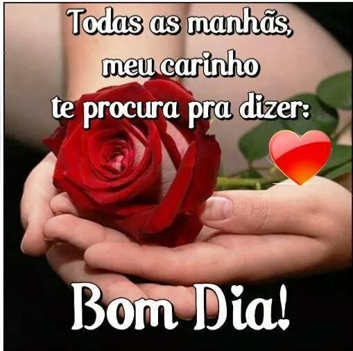 O meu carinho te procura