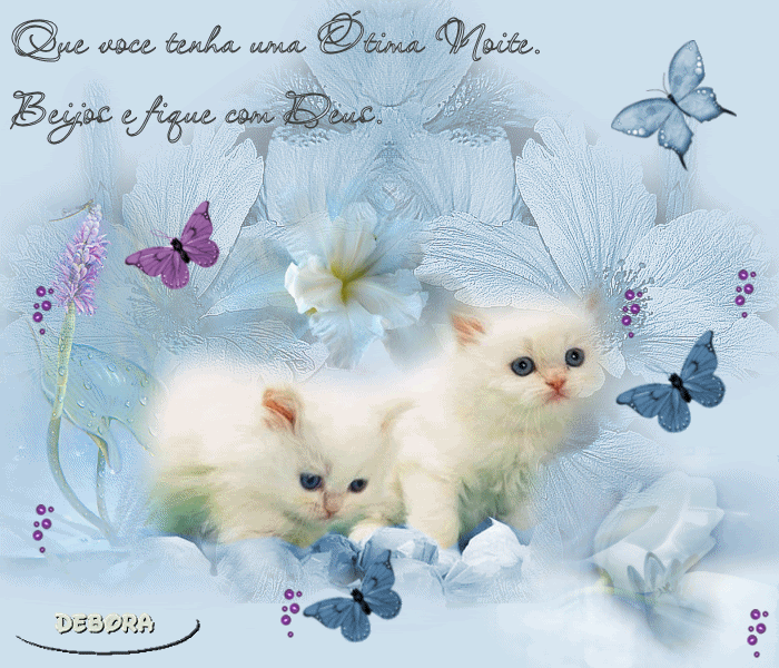 Que você tenha uma ótima noite