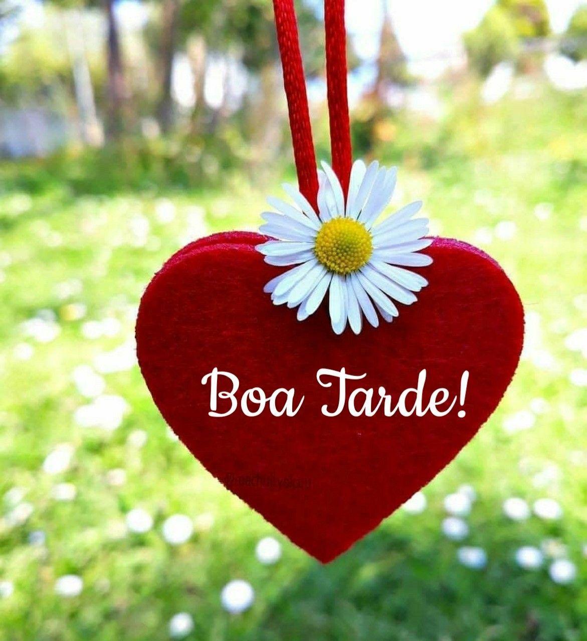 32 Mensagens De Boa Tarde Com Lindas Gifs De Paz, Amor E Felicidade