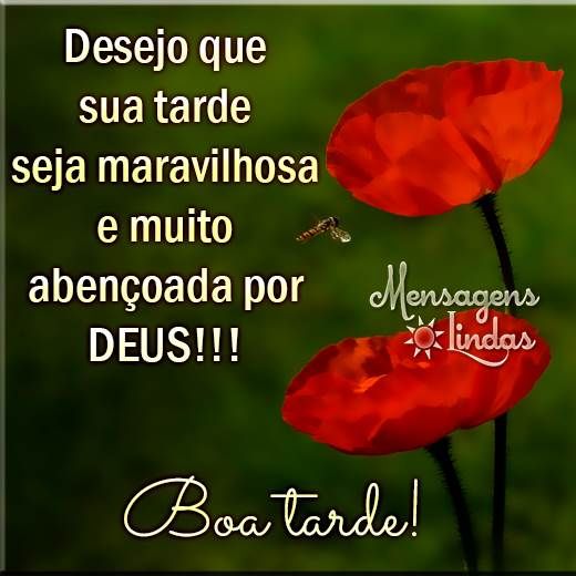Uma tarde abençoada para todos