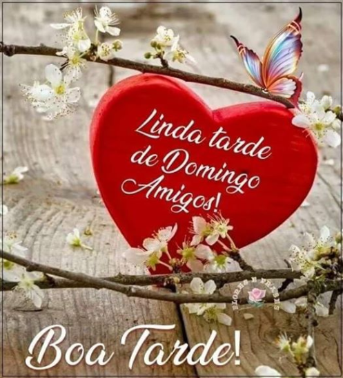 Linda tarde de domingo amigos! fotos de boa tarde amigos.