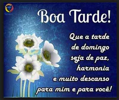 Boa tarde de domingo com paz!