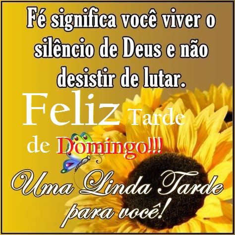 Boa tarde de domingo para você!