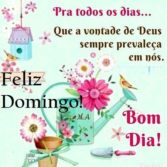 Bom dia feliz domingo animado com rosas!