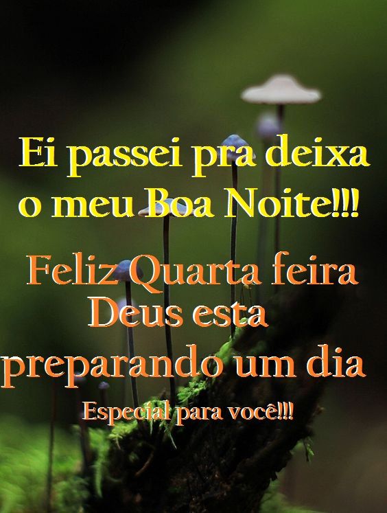 Ei boa noite Feliz quarta durma bem, Pois Deus prepara um maravilhoso dia para você!