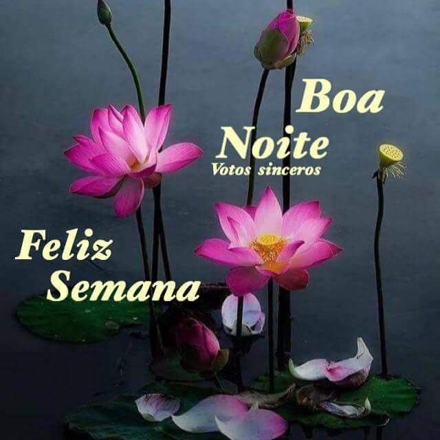 Passando pra deixa o meu boa noite feliz e abençoado!!!