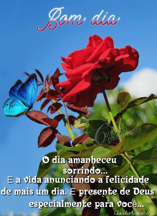 O dia amanheceu sorrindo