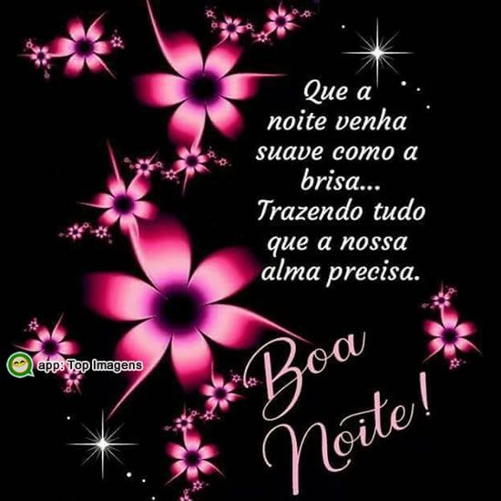 Boa noite com carinho especial para você dormi feliz