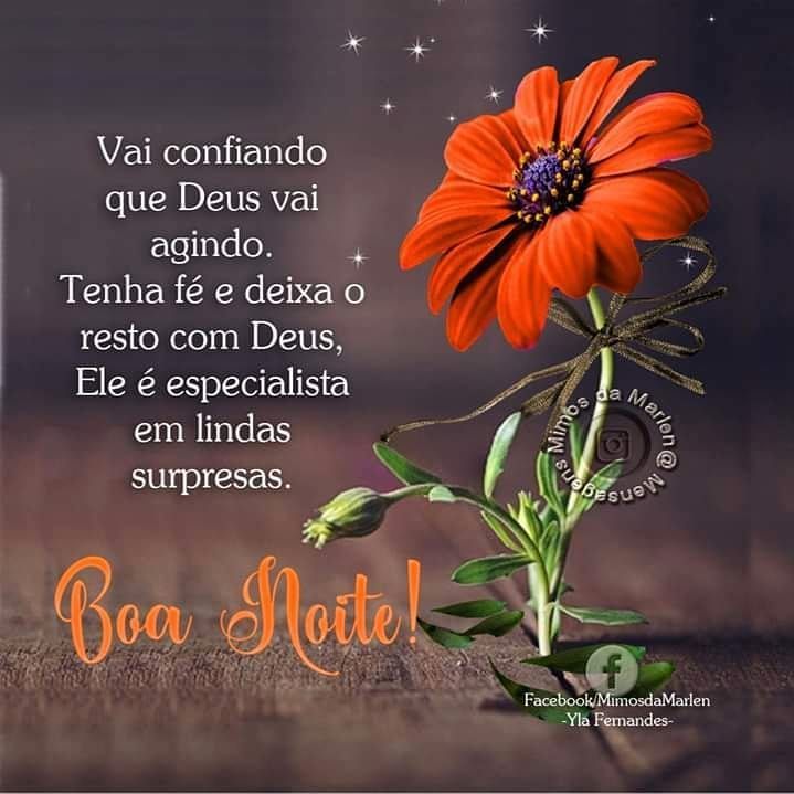 Boa noite! te entrego uma linda flor para você dormi feliz