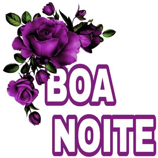 Boa noite vida que amo tanto te adoro muito