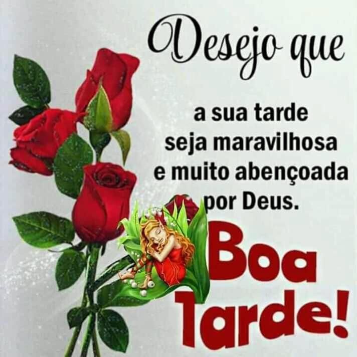 Boa tarde com rosa vermelha
