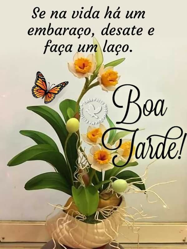 Boa tarde com borboleta e um jarro de flores