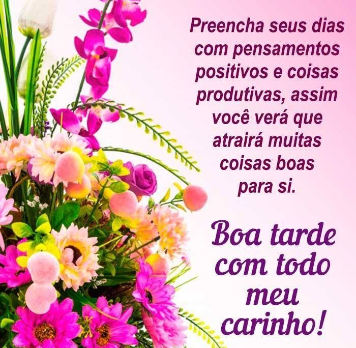Boa tarde de carinho