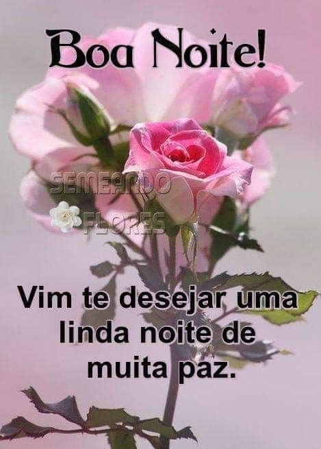 Boa noite! Respire um bom ar!