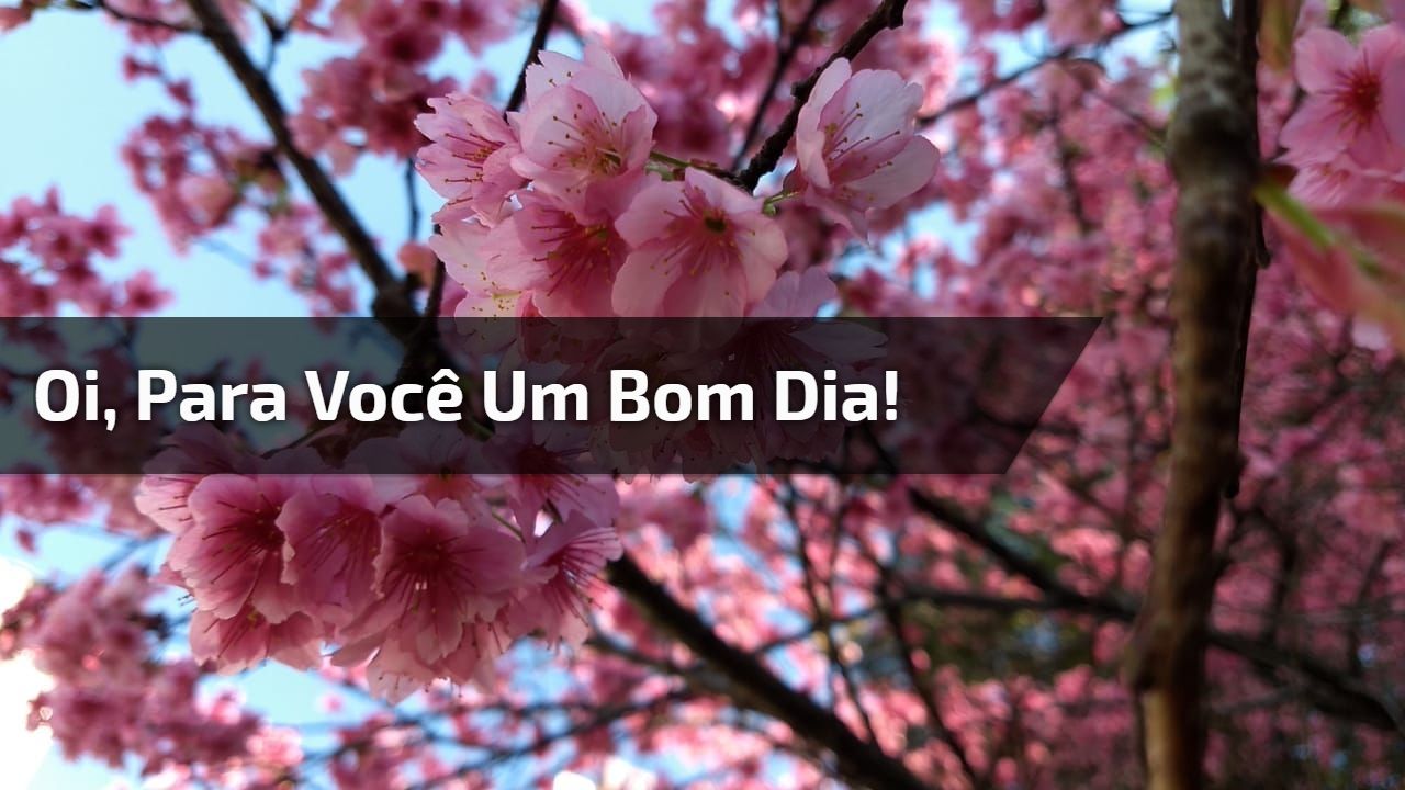 Oi, um bom dia para você aí...