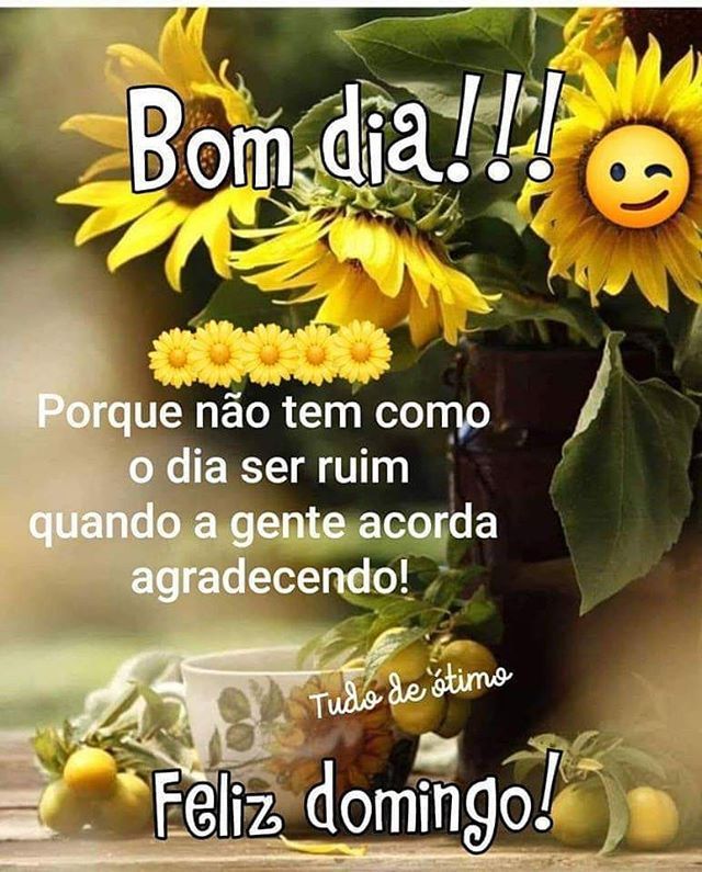 37 Imagens de Feliz Domingo Carinhoso para Whatsapp 37 Imagens de Feliz Domingo Carinhoso para Whatsapp