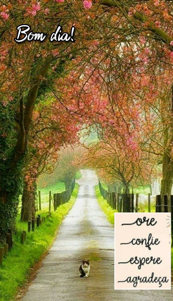 Bom dia! Confie sempre!!!