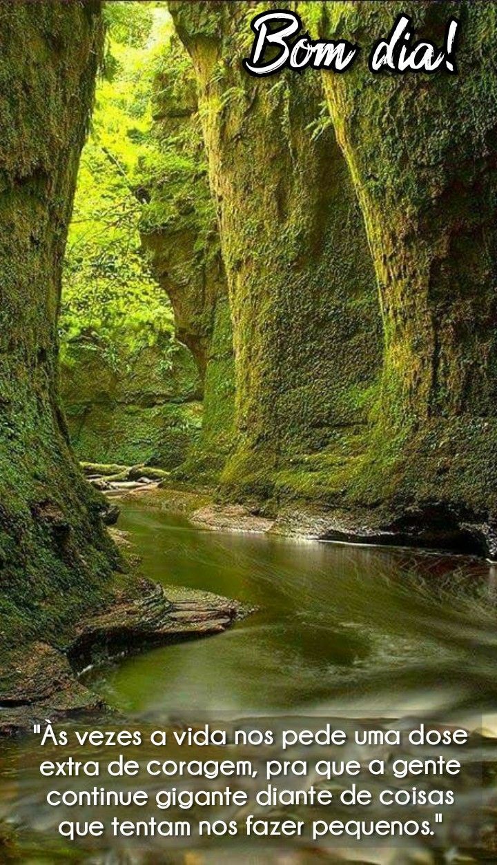 Bom dia! muita força e coragem!