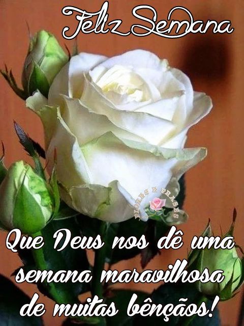 Que Deus dê uma semana maravilhosa