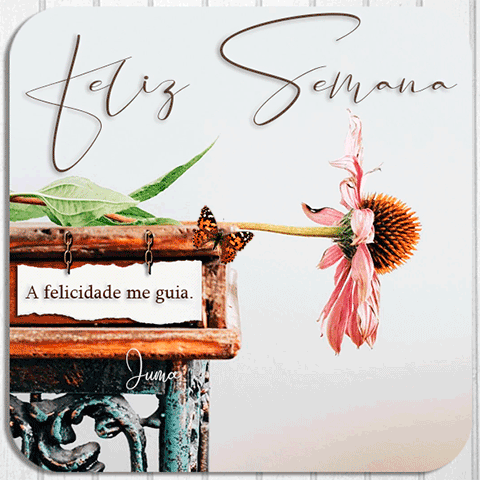 A felicidade me guia, feliz semana
