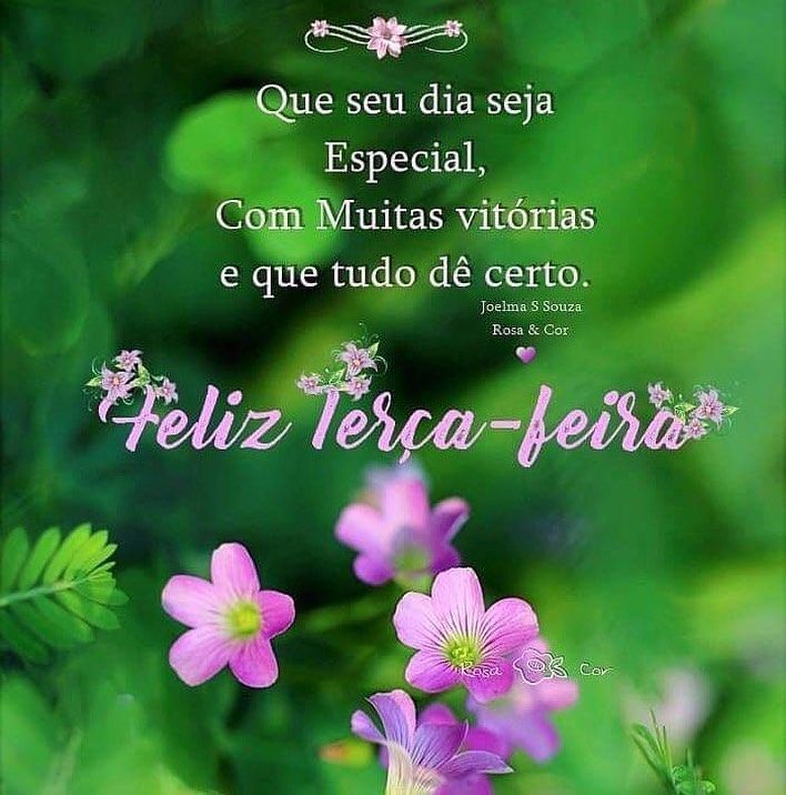 Que seu dia seja especial, feliz terça-feira