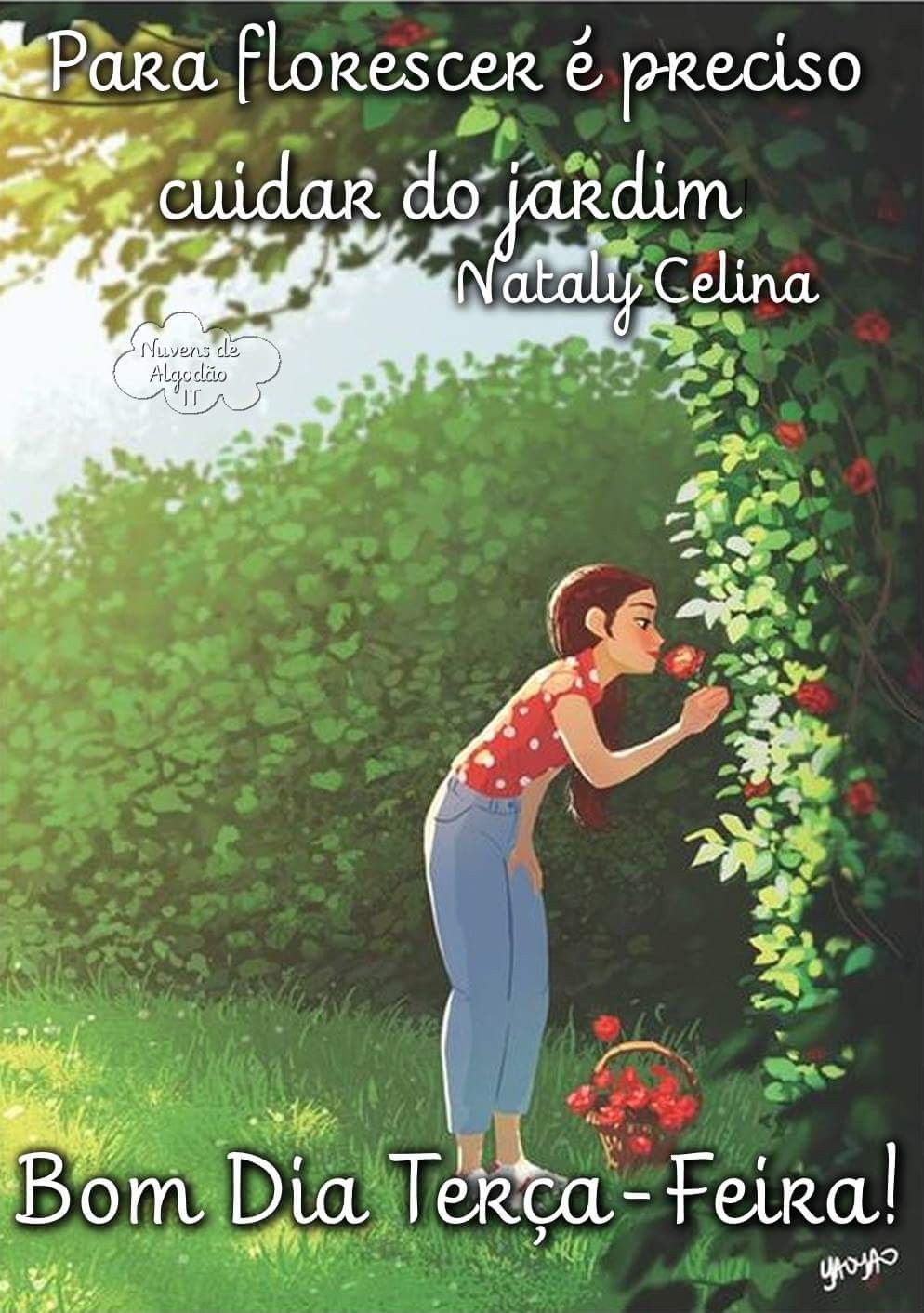 Bom dia terça-feira florida