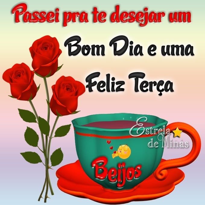 Flores para você e um bom dia e feliz terça