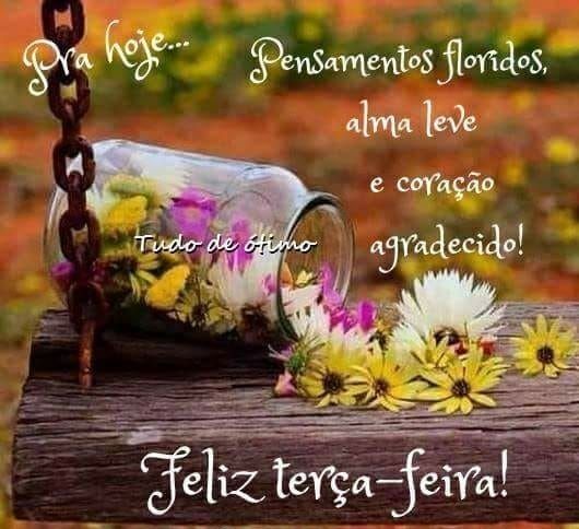 Pensamentos floridos, bom dia terça