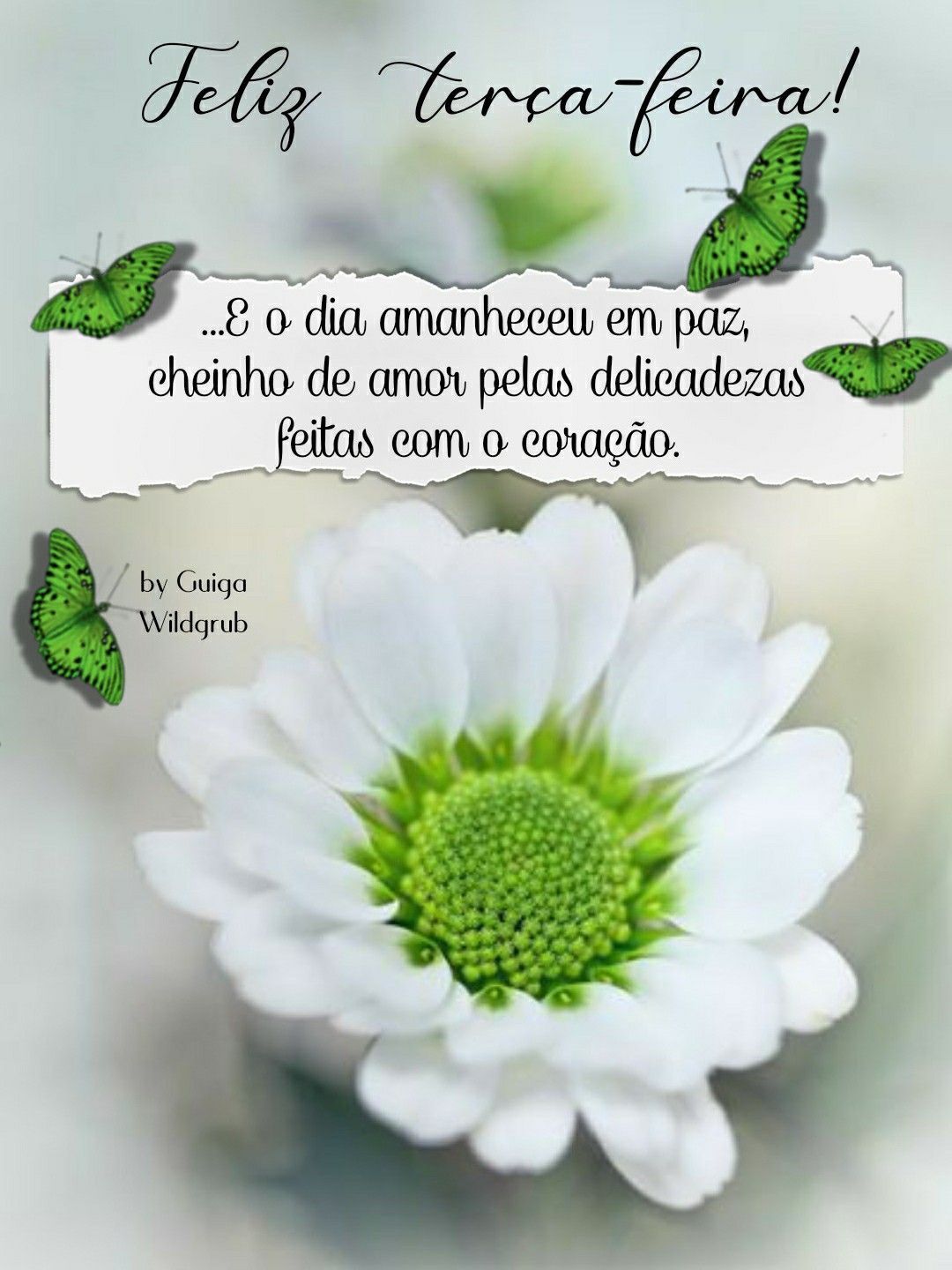 O dia amanheceu em paz e cheinho de amor, feliz terça