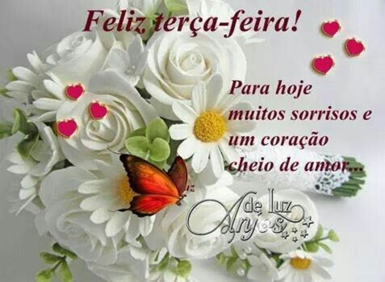 Feliz terça-feira com muitos sorrisos e um coração cheio de amor