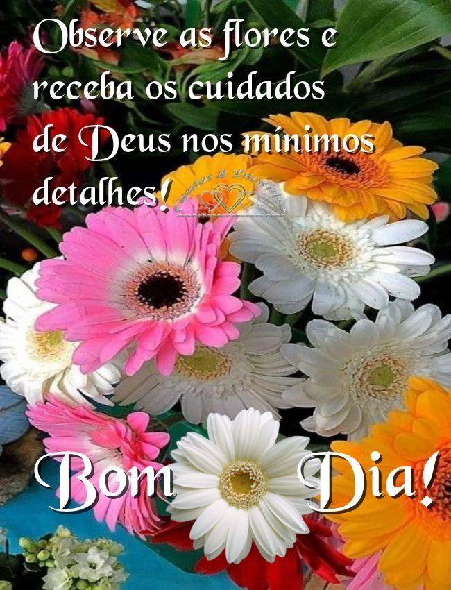 Flores para amigas e um bom dia!