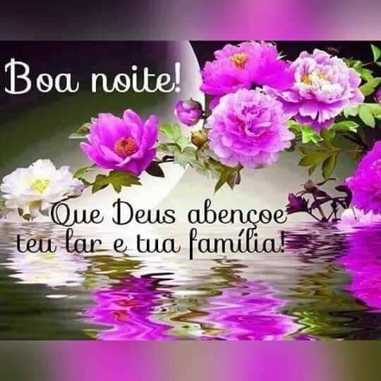 Boa noite com flores e carinho