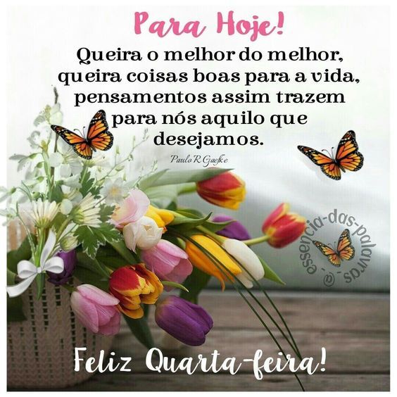 Queira o melhor do melhor, feliz quarta-feira