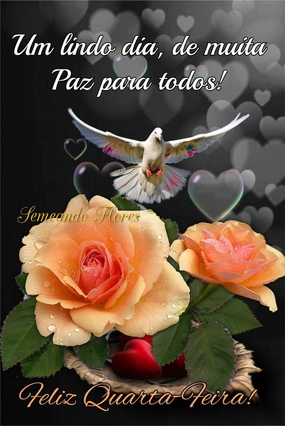 70 Imagens incríveis Bom dia Quarta feira com Lindas Mensagens 70 Imagens incríveis Bom dia Quarta feira com Lindas Mensagens