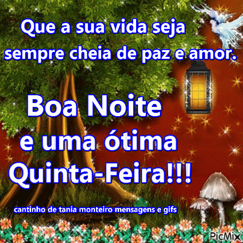 Boa noite com carinho tenha uma noite maravilhosa quinta feira