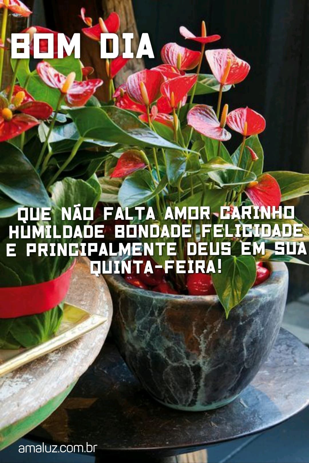 bom dia que não te falte nada e principalmente Deus