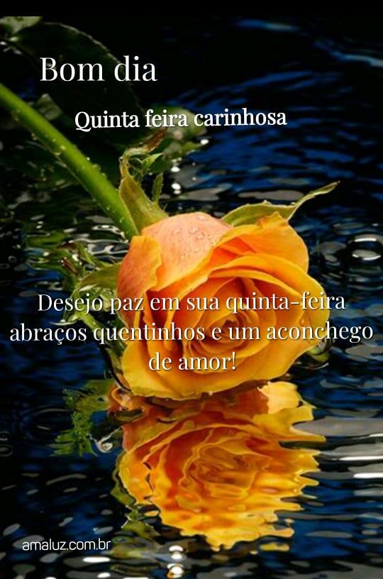 bom dia quinta feira carinhosa