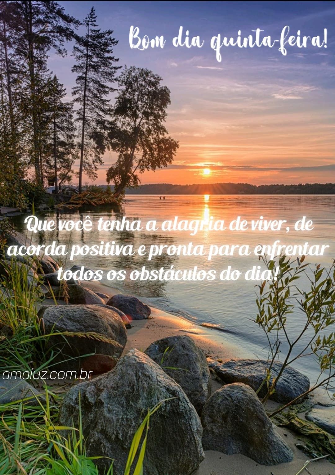 bom dia quinta feira alegre