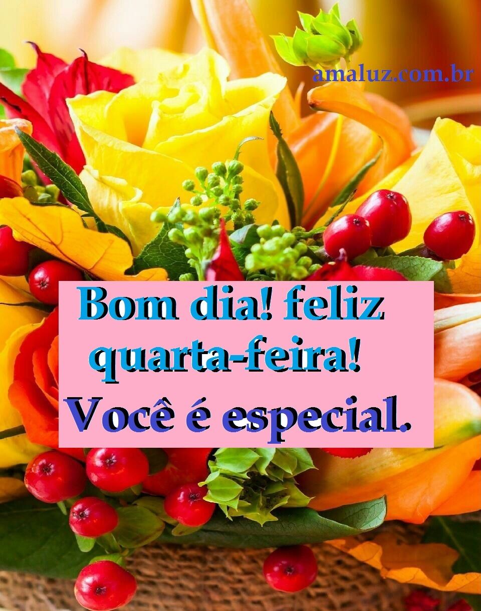 Bom dia feliz quarta feira você é especial