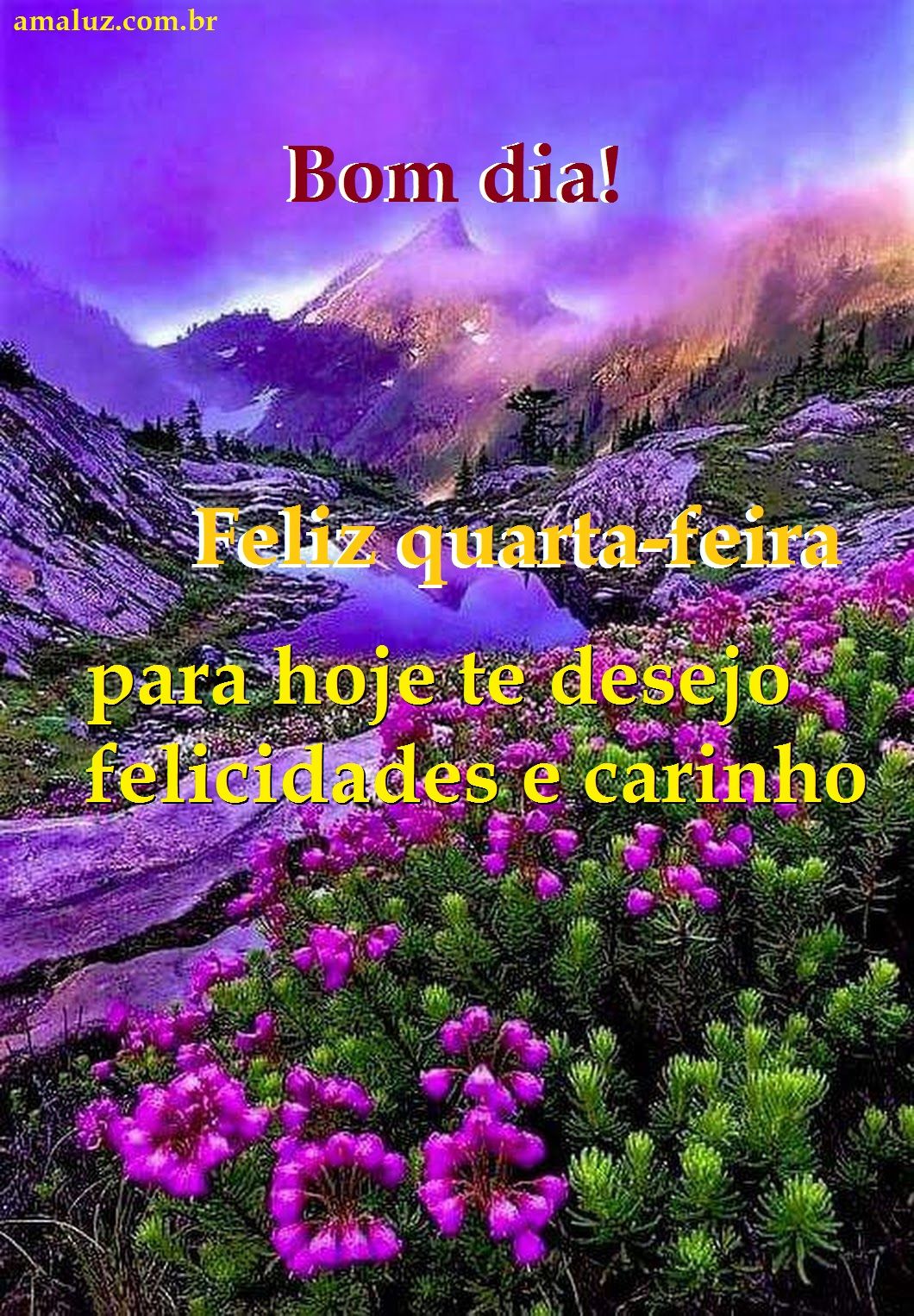 Bom dia feliz quarta feira com muita paz amor e carinho! Felicidades.